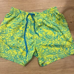 Chubbies Yellow and Blue Dinosaur Swim Trunks
